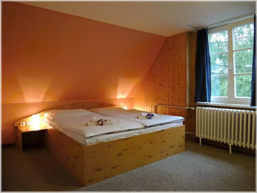 Photo 4 of Hotel U Tří růží